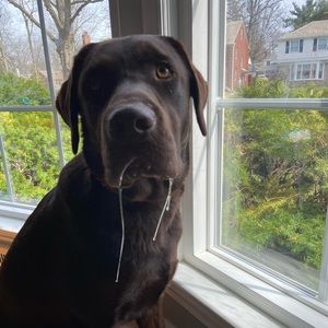 Meet your Posher, Nathalie